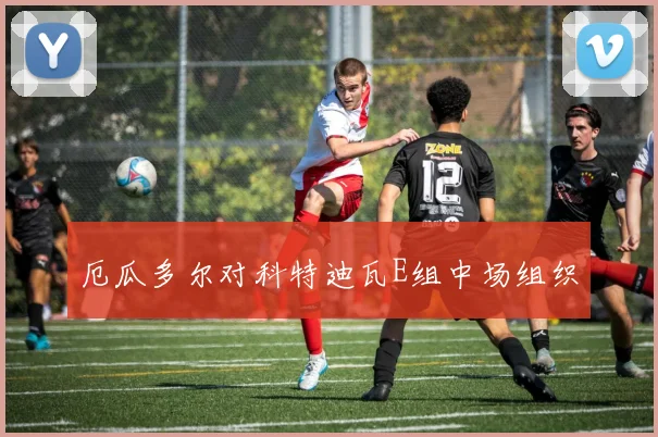 厄瓜多尔对科特迪瓦E组中场组织