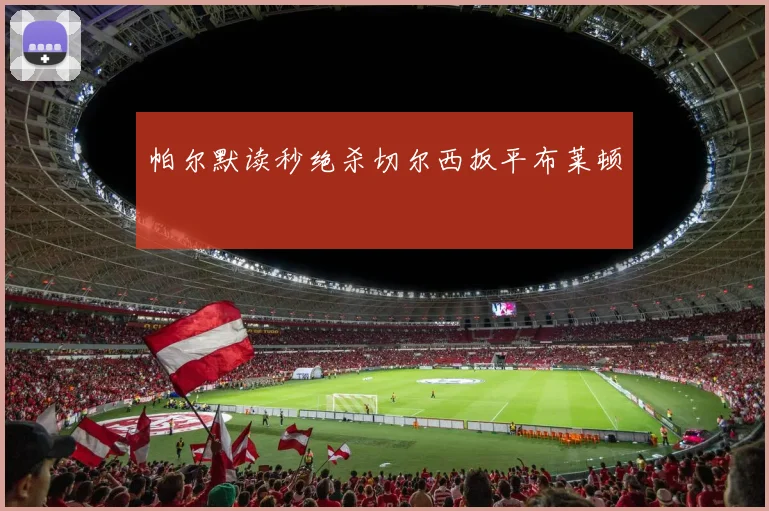 帕尔默读秒绝杀切尔西扳平布莱顿