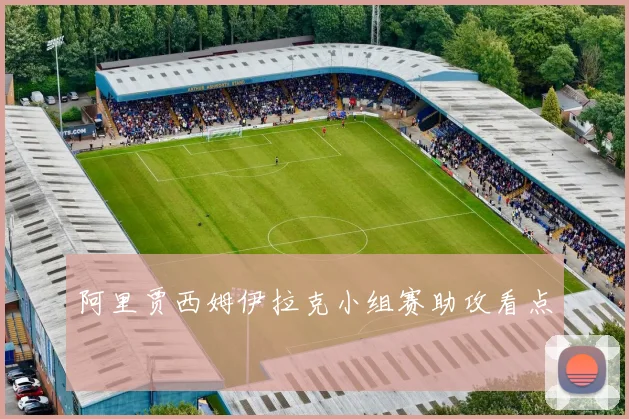 阿里贾西姆伊拉克小组赛助攻看点