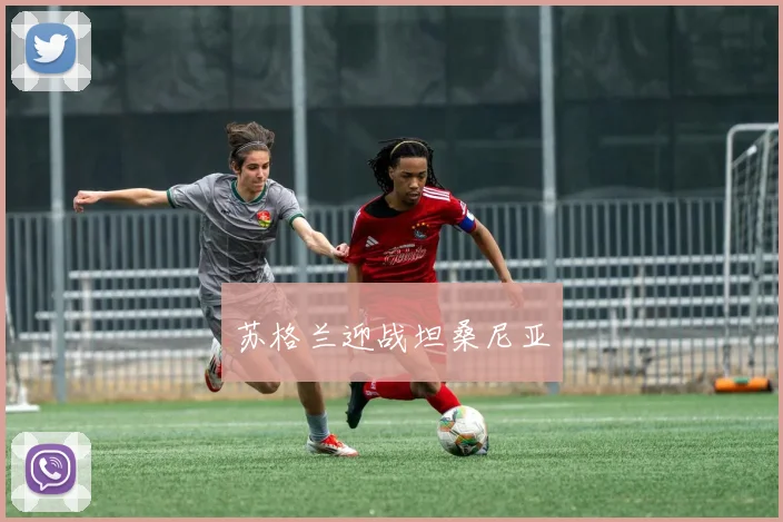苏格兰迎战坦桑尼亚