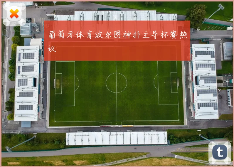 葡萄牙体育波尔图神扑主导杯赛热议