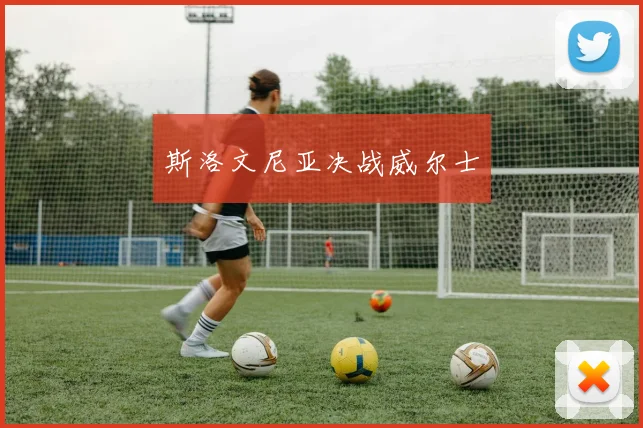 斯洛文尼亚决战威尔士