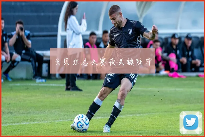戈贝尔总决赛夜关键防守