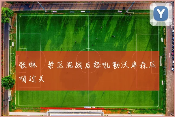 张琳芃禁区混战后怒吼勒沃库森压哨过关