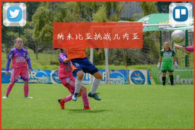 纳米比亚挑战几内亚