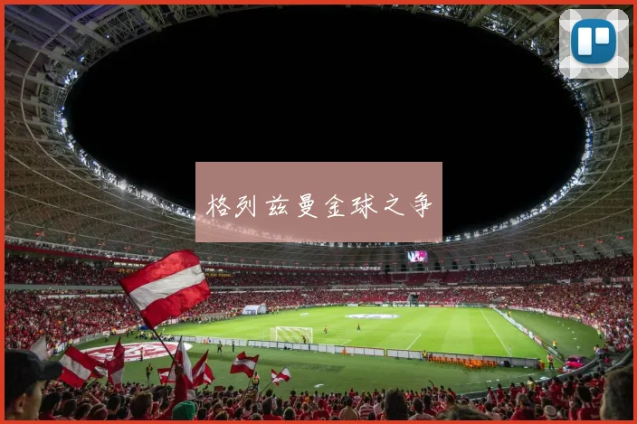 格列兹曼金球之争