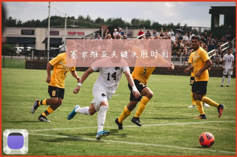塞尔维亚关键决胜时刻
