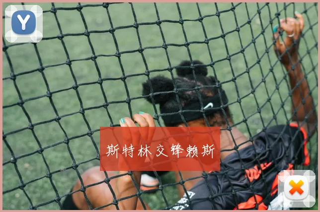 斯特林交锋赖斯