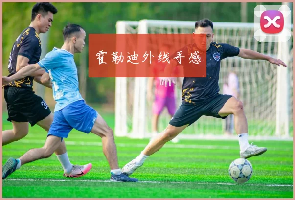 霍勒迪外线手感