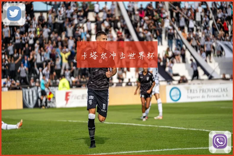卡塔尔冲击世界杯