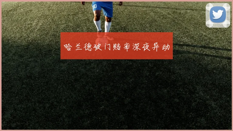 哈兰德破门赔率深夜异动