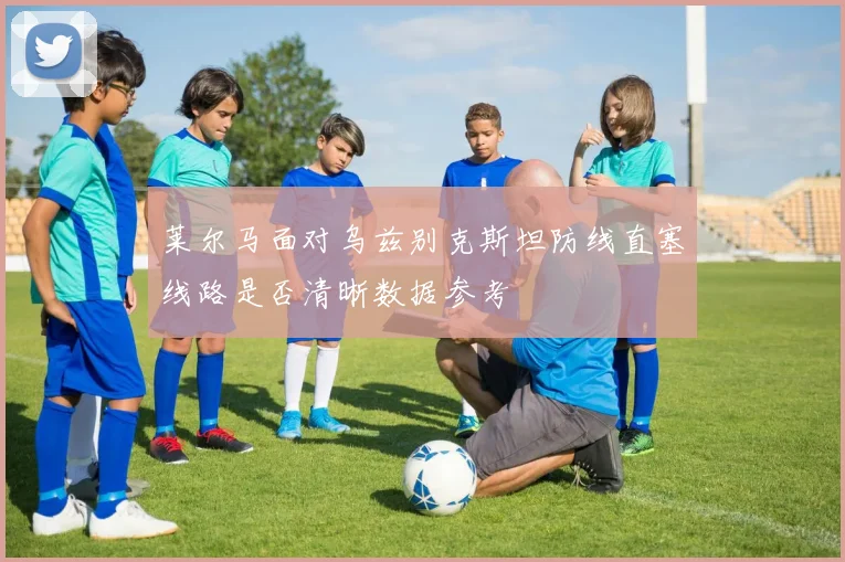 莱尔马面对乌兹别克斯坦防线直塞线路是否清晰数据参考