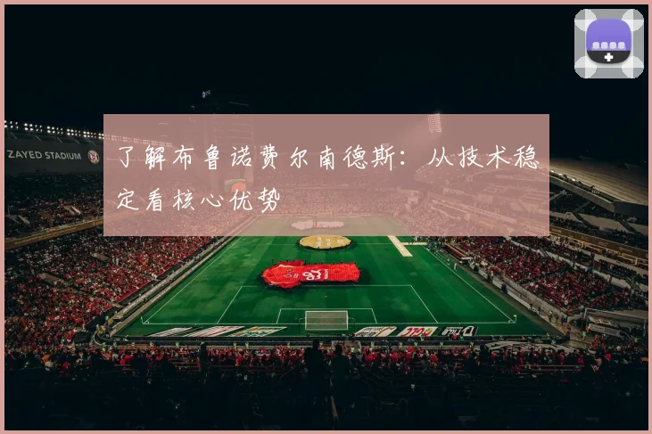 了解布鲁诺费尔南德斯:从技术稳定看核心优势