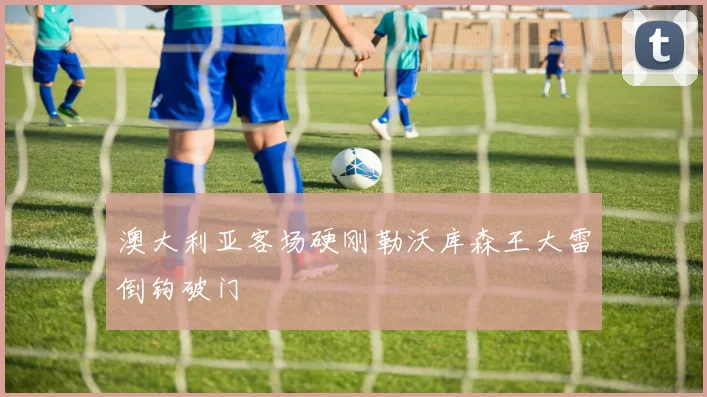 澳大利亚客场硬刚勒沃库森王大雷倒钩破门