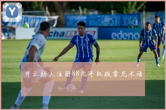 开云新人注册88元手机版常见术语