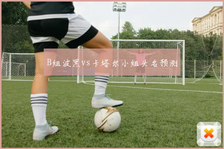 B组波黑vs卡塔尔小组头名预测