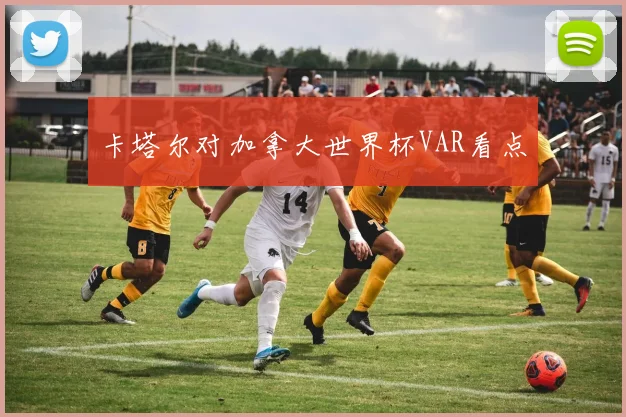 卡塔尔对加拿大世界杯VAR看点