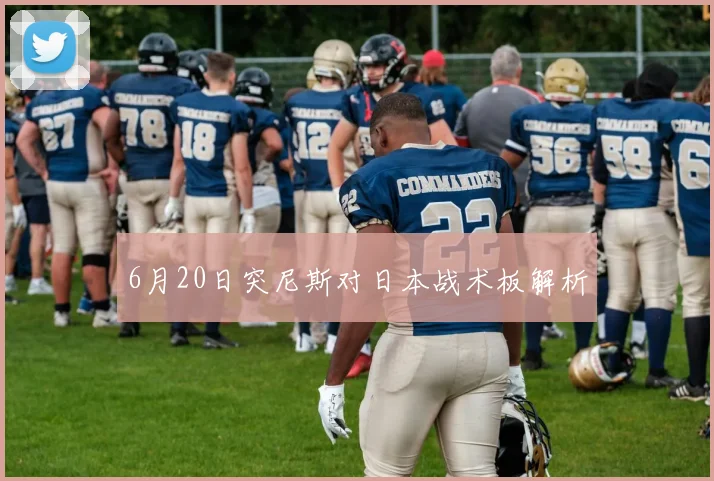 6月20日突尼斯对日本战术板解析